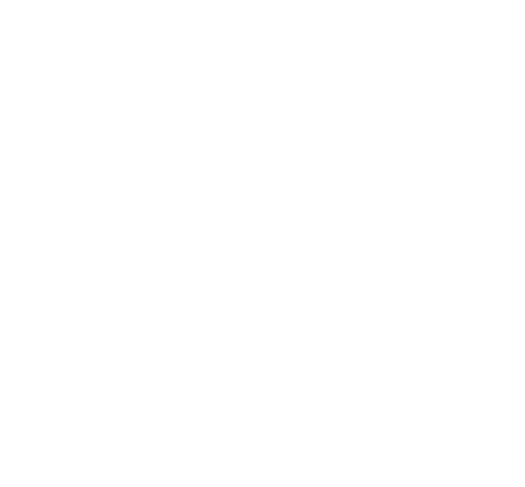 FDG Logo 2020 White