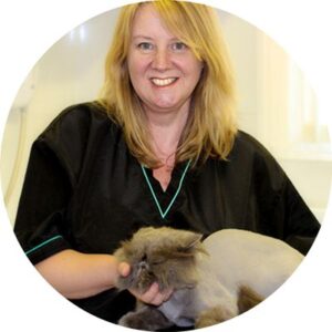 About master cat groomer Rachael Sherwell