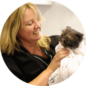 Master cat groomer Rachael - Feline Divine Mobile Cat Grooming
