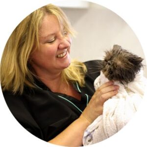 Cat Grooming Singapore Gentle & Cat Loving | Likeable Pets